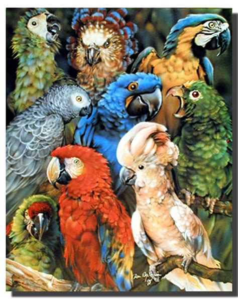 Parrot Collage Poster Animal Posters Bird Posters