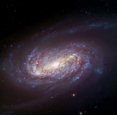 Barred Spiral Galaxy Ngc 2903 Photograph By Hubble Legacy Archive Wiyn