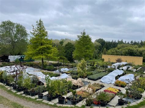 DMKert faiskola és kertészet | Egerág 