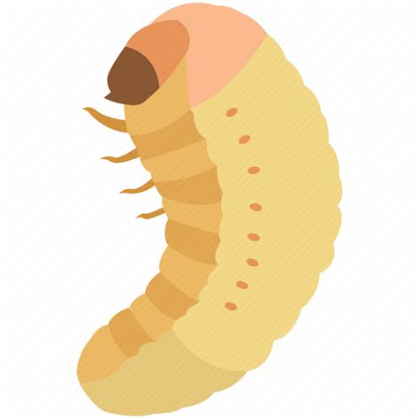 Grub, larva, larvae, larval, maggot, pupa, silkworm icon - Download on ...