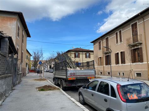 Al Via E Quasi Completata Lopera Di Rialberatura Di Via Anna Maria