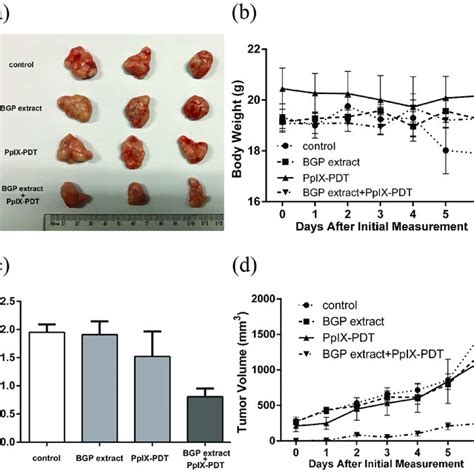 Intracellular Accumulation Detection Of Protoporphyrin Ix Ppix By