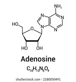 279 Adenosine Drawing Structure Images, Stock Photos & Vectors | Shutterstock