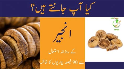 Injeer Anjeer Ke Fayde Figs Health Benefits Urdu Hindi Anjeer