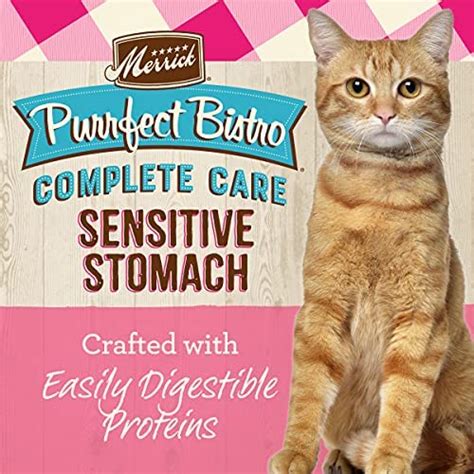 Best Can Cat Food for Sensitive Stomach - Feed Pet Food