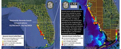 Red Tide Status Update for February 17, 2023 – The Suncoast News & Scoop