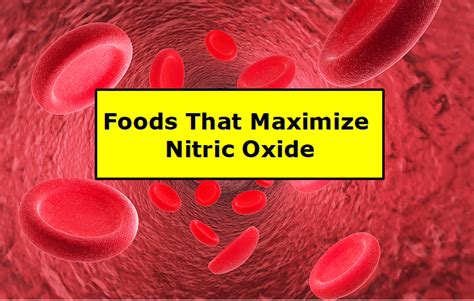 Foods That Maximize Nitric Oxide - Dan Hammer Health LTD