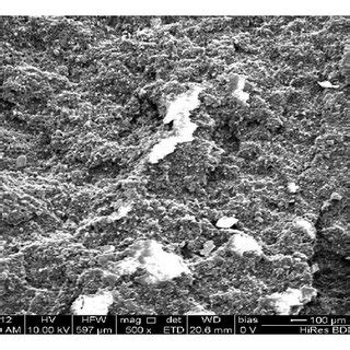 TGA Analysis Of Oat Hull Fibre And PP PLA Oat Hull Composites