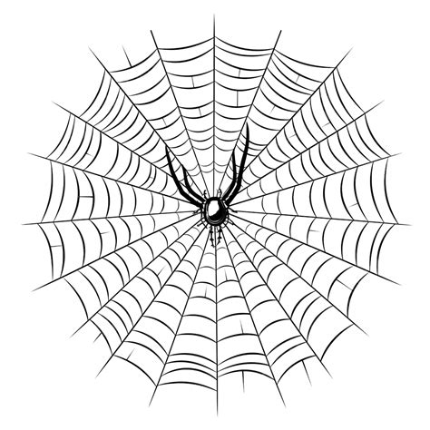 Halloween Cobweb Spiderweb Close Up Vector Linear Hand Drawing In