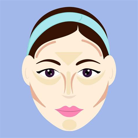 Contour Or Highlight By Oval Face Shape Female On Blue Background. 23799359 Vector Art at Vecteezy