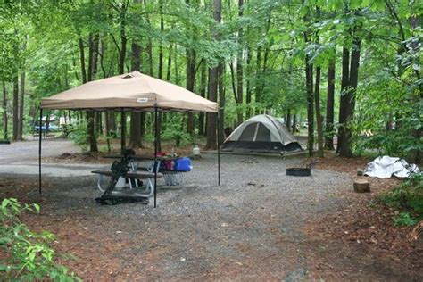 Cataloochee Campground Map Directions Information Cataloochee