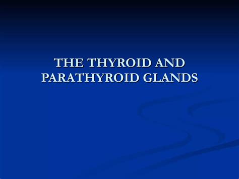 The Thyroid And Parathyroid Glands Ppt