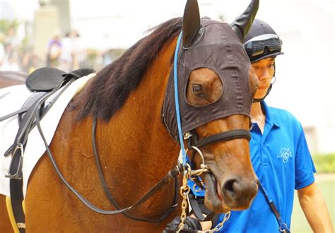 9月9日中山競馬⭐︎2歳新馬⭐︎ベアビー 公式：黒澤ひかりのキラキラ日記～magic Kiss Lovers Only～