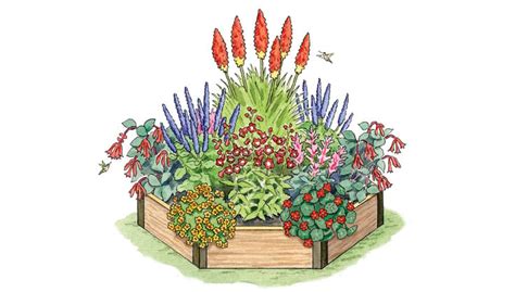 Hummingbird Garden Design