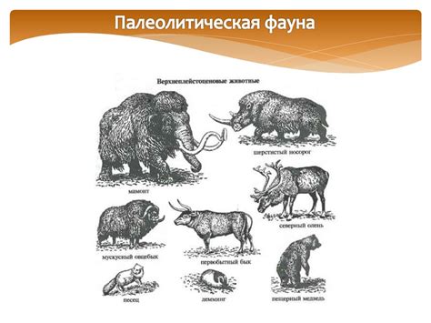 Эпоха палеолита - презентация онлайн