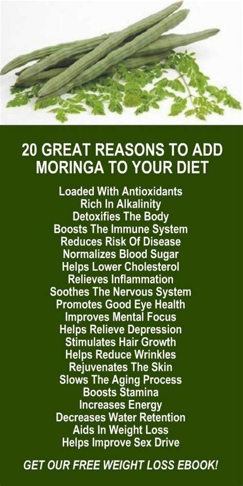 Moringa Benefits For Men And Women Moringa Benefits Coconut Health