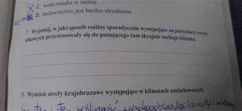 W ZAŁĄCZNIKU NA TERAZ PLISSSSS DAJE NAJJ TYLKO ZADANIE 7