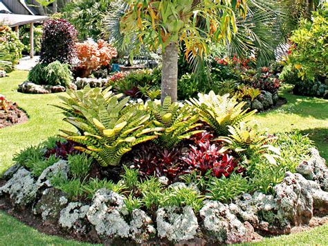 How To Create A Tropical Backyard 14 Tropical Plants To Create A