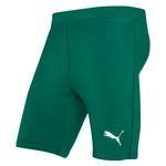 Puma Baselayer Liga Tights Gr N Unisport Dk