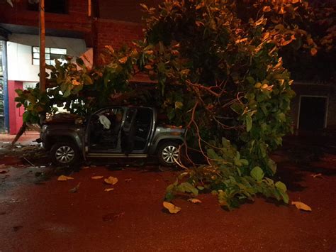 Un Joven Despist Con Su Camioneta Y Se Estrell Contra Un Rbol En Ober