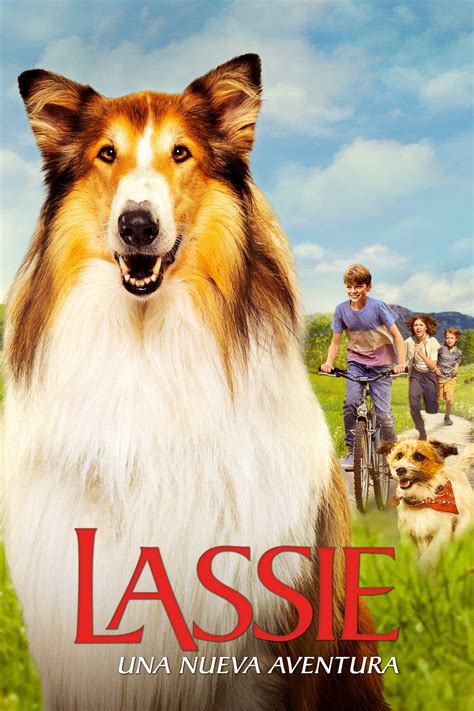 Ver Lassie Ein Neues Abenteuer Online Latino Hd Pelisplus