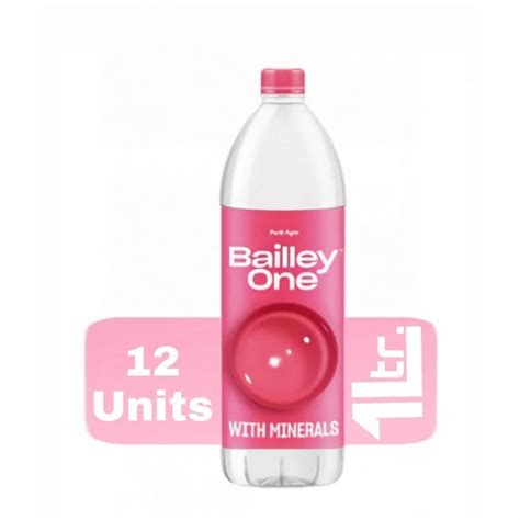 Bailley Mineral Water 1 Ltr At 165 Box Bailey Bridge In Amravati