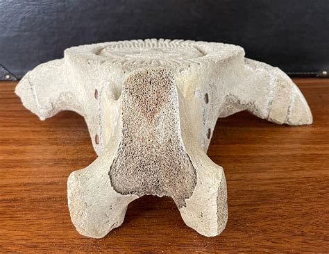 Inuit Whale Bone Vertebrae Hand Carved Two Sided Signed Sculpture At