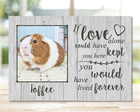 Guinea Pig Memorial Gift Pet Memorial Memorial Gift Guinea Etsy