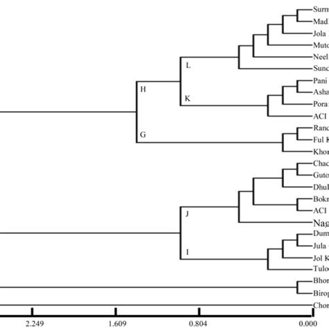 Upgma Dendrogram Based On Nei S Genetic Distance Summarizing