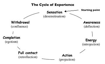 Gestalt Cycle Of Experience Janet Givens