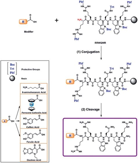 Scheme 1 Conjugation Of Peptides During Spps With Different Modifiers