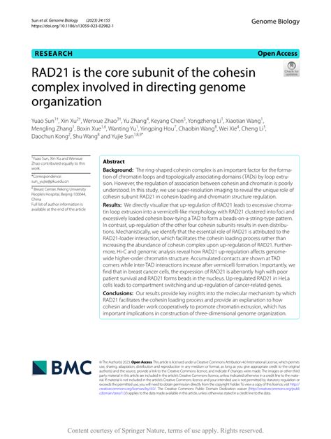 PDF RAD21 Is The Core Subunit Of The Cohesin Complex Involved In