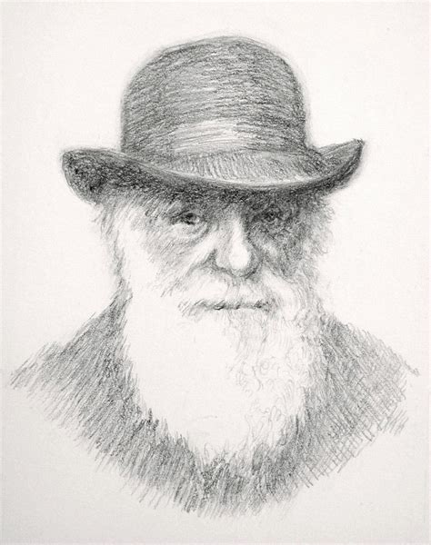 Charles Darwin Drawings At Explore Collection Of