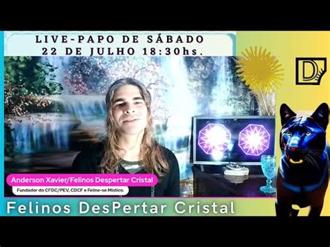 LIVE PAPO DE SÁBADO 21 DE JULHO 18 30HS LEITURA DE ENERGIAS YouTube