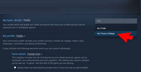 [Ultimate Guide] How To Hide Game Activity On Steam From Friends?