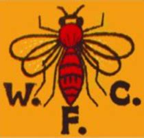 Historical Crests: Watford FC – worldsoccerpins.com