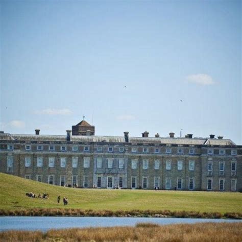 Dog walk at Petworth Park · Sussex (West) · Walkiees