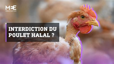 Vid O Le Poulet Halal Bient T Interdit En France Middle East Eye