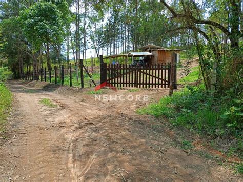 Lote Terreno M Em Centro Em Pedra Bela Por R Viva Real