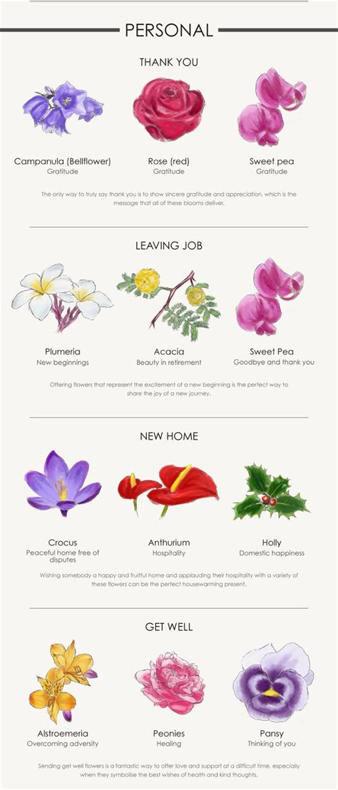 Types Of Garden Flowers Names