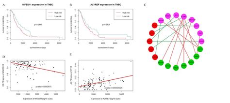 Survival Associated Sfs And Splicing Correlation Network In Tnbc A Download Scientific