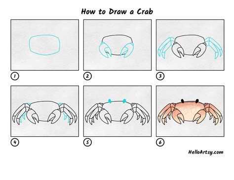 How To Draw A Crab Step By Step 12 Easy Phase – NBKomputer