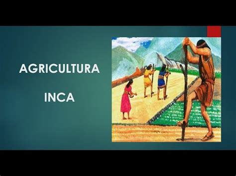 Agricultura Inca YouTube