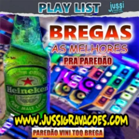 PLAY LIST BREGAS PRA PAREDÃO AS MELHORES PAREDÃO VINI TOQ BREGA