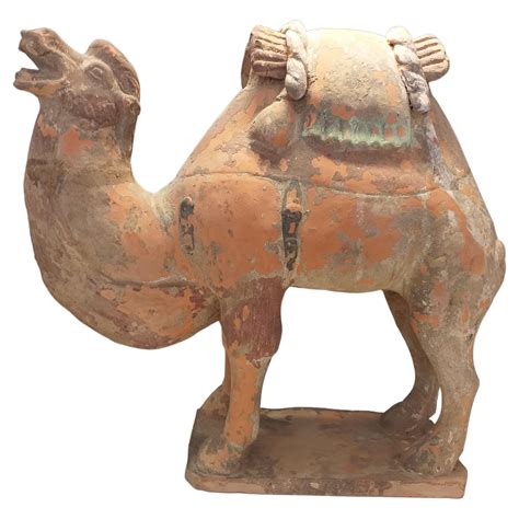 Tang Dynasty Camel For Sale At Stdibs