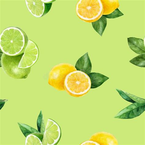 Watercolor Hand Drawn Lemon Lime Fruit Seamless Pattern Stock