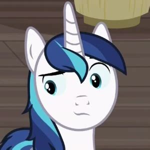 1422867 Safe Screencap Shining Armor Pony Unicorn A Flurry Of