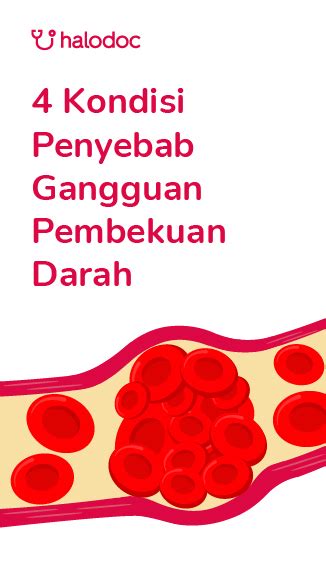 Ini 4 Kondisi Yang Bisa Mengganggu Proses Pembekuan Darah