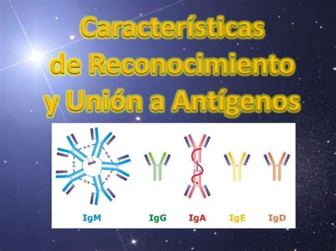 Anticuerpos Monoclonales PPT Descarga Gratuita