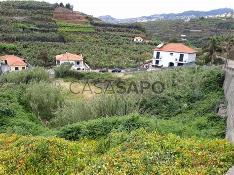 Terreno Venda 300 000 em Funchal São Martinho Santa Rita CASA SAPO